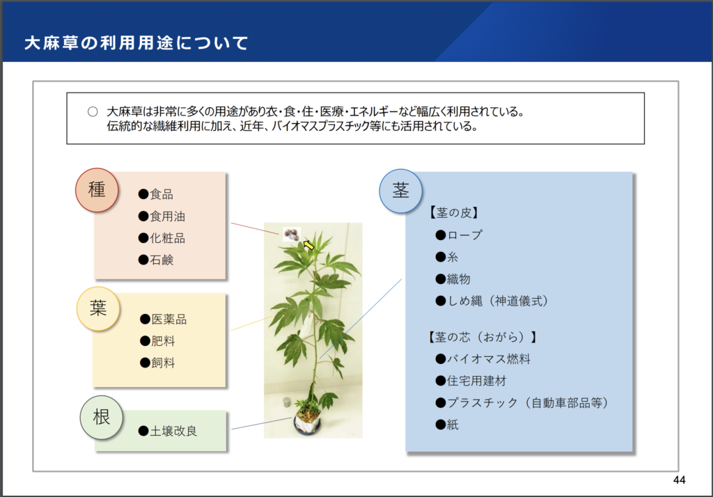 ヘンプルネサンス、あるいは植物のポテンシャルの解放